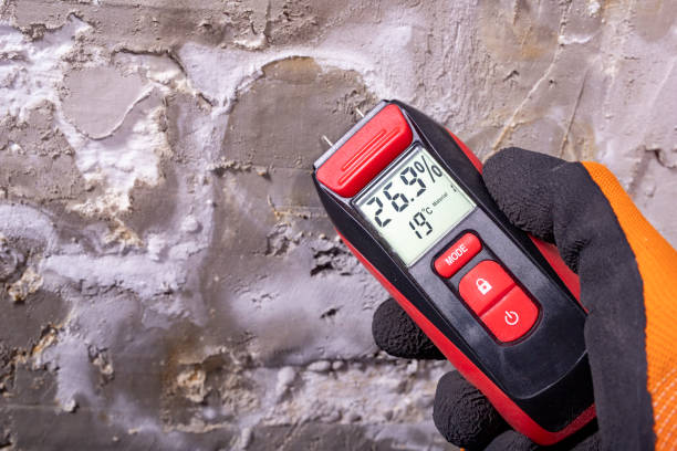 Best Mold Damage Repair  in , DC