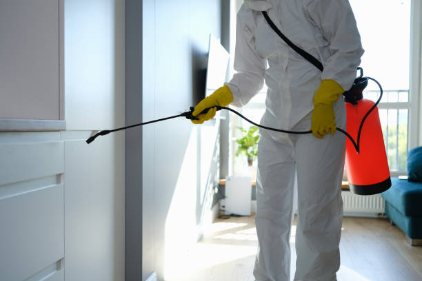 Best Office Mold Removal Services  in , DC