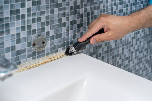Best Mold Cleaning Services  in , DC
