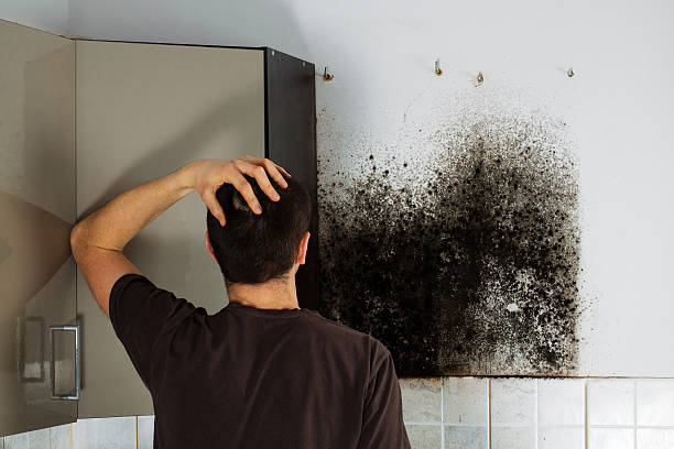 Best Crawl Space Mold Removal  in , DC